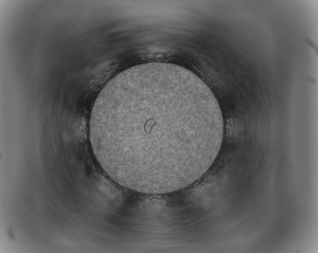 X0000096440820200801311427