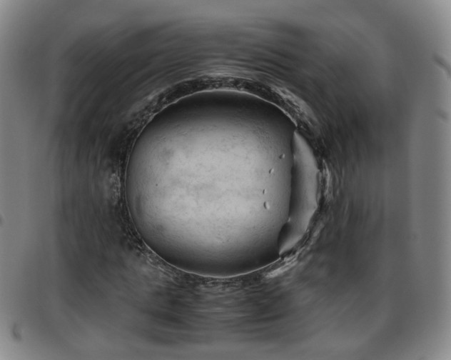 X0000096440821200801311427