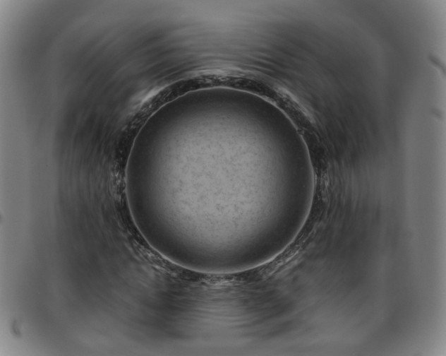 X0000096440822200801311427