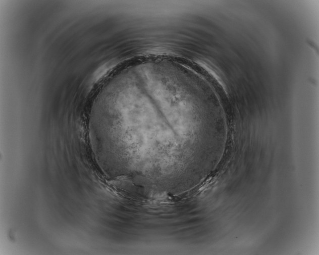 X0000096440823200801311427