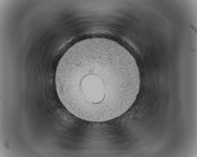 X0000096440824200801311427