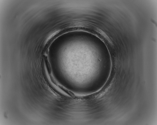 X0000096440826200801311427