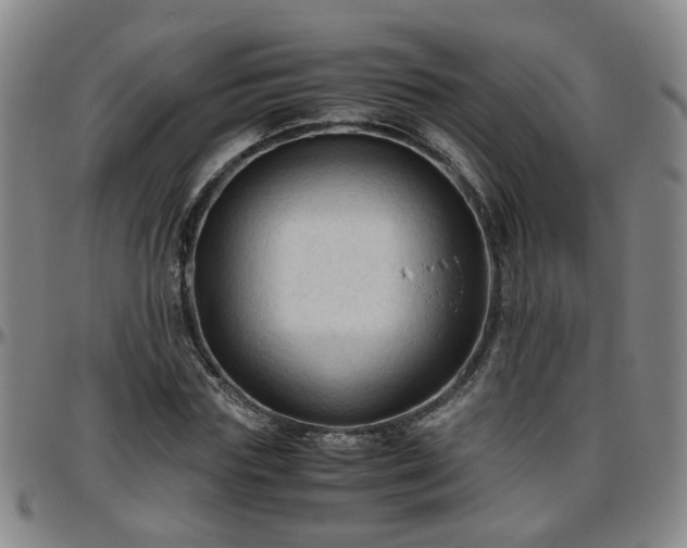 X0000096440827200801311427