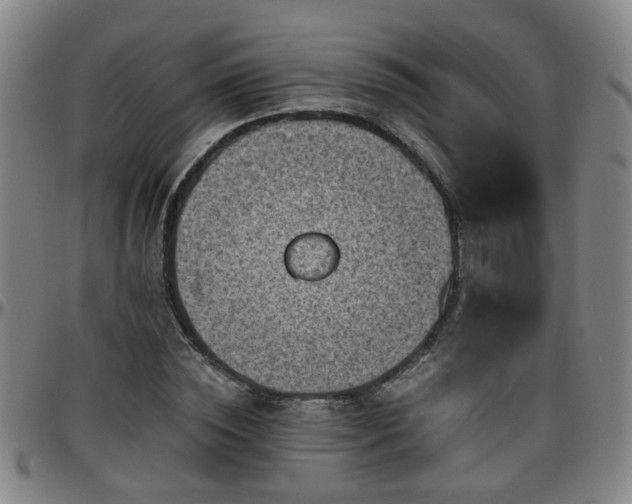 X0000096440828200801311427