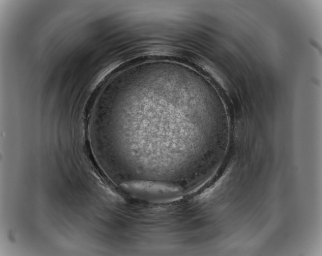 X0000096440829200801311427