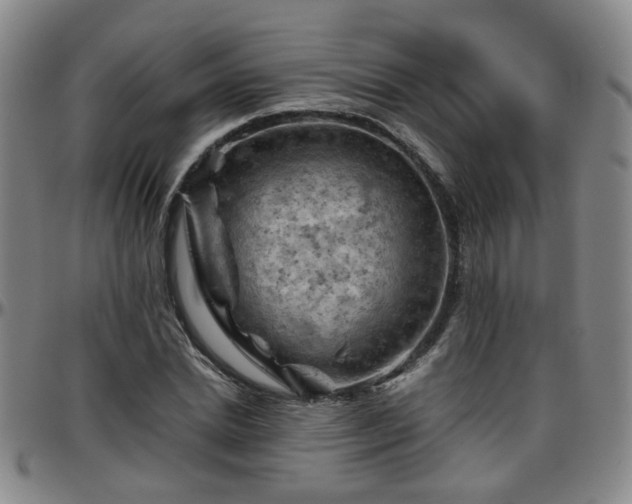 X0000096440830200801311427