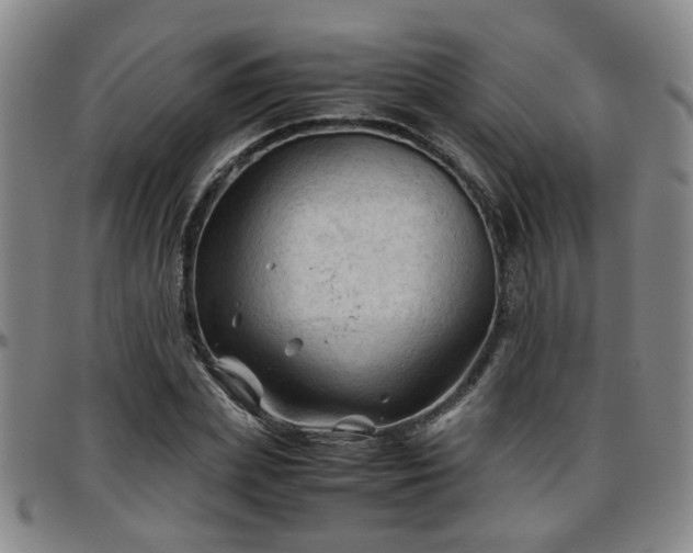 X0000096440831200801311427