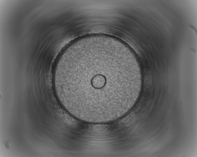 X0000096440832200801311427