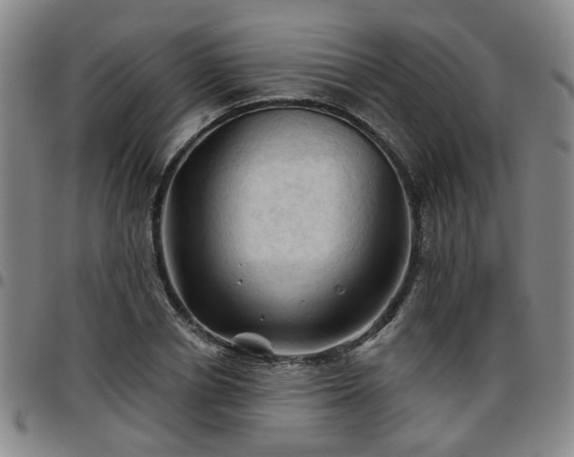 X0000096440834200801311427