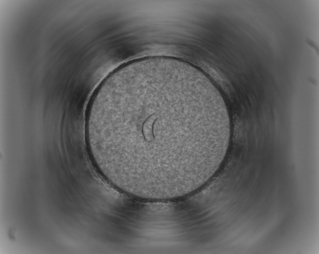 X0000096440836200801311427