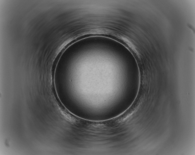 X0000096440837200801311427