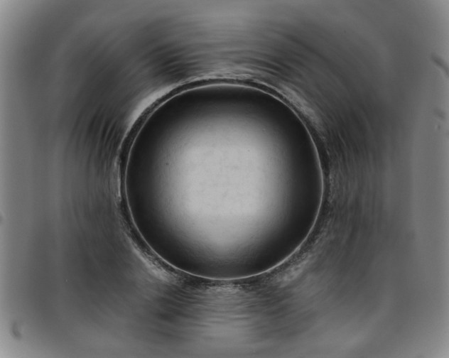 X0000096440838200801311427