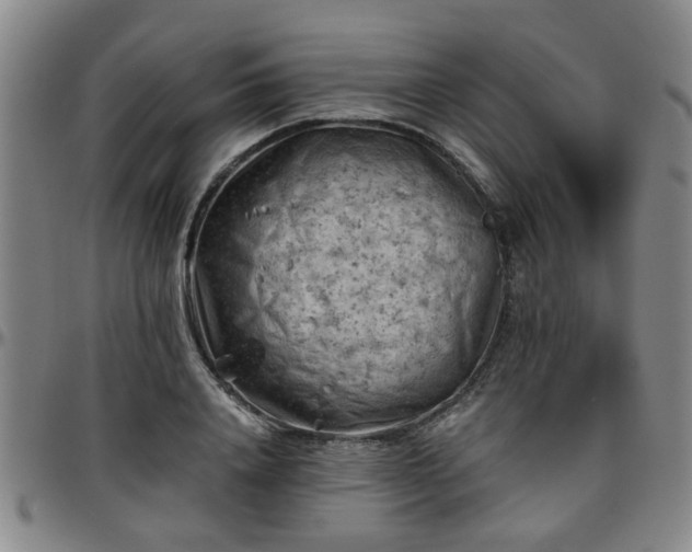 X0000096440840200801311427