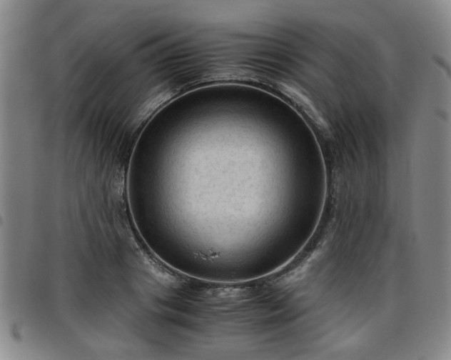 X0000096440841200801311427