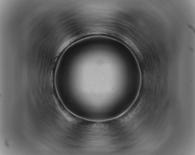 X0000096440842200801311427