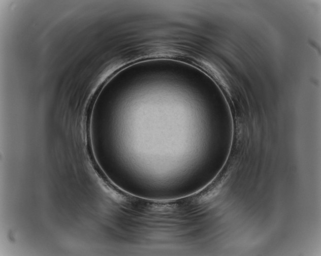 X0000096440843200801311427