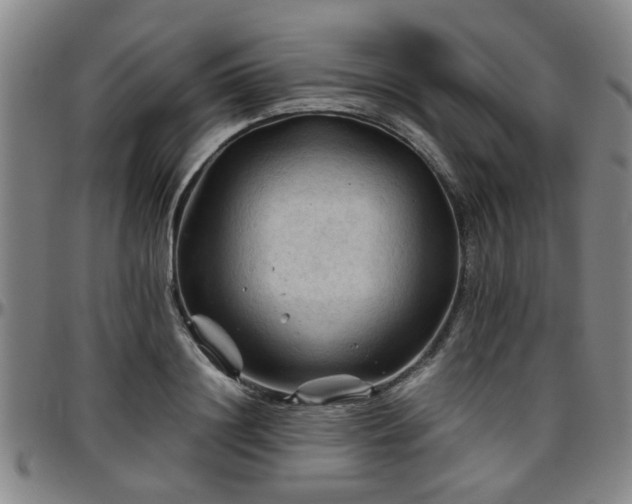 X0000096440844200801311427