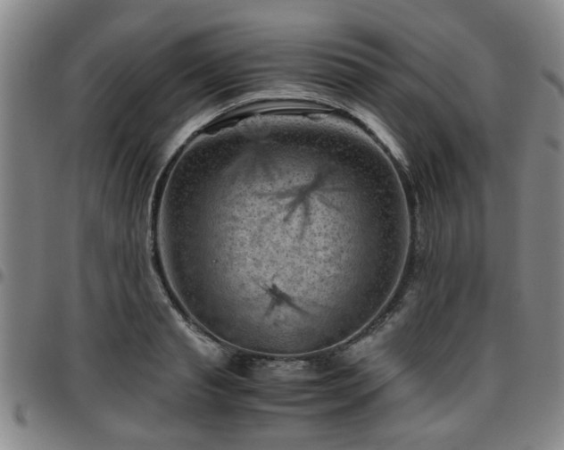 X0000096440845200801311427