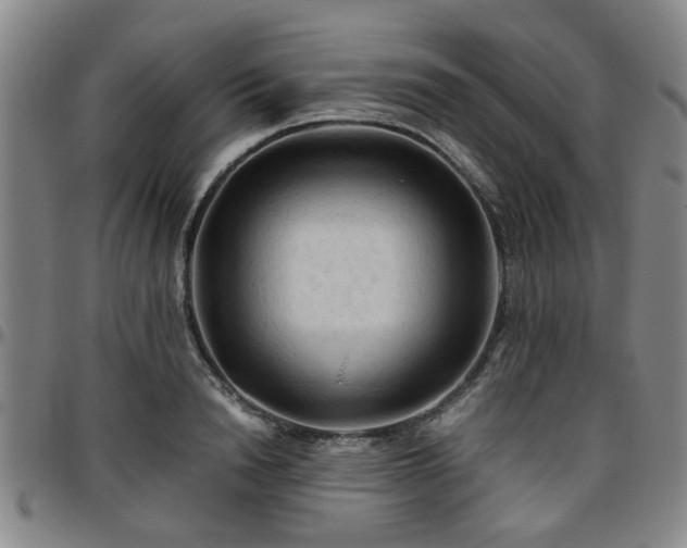 X0000096440846200801311427