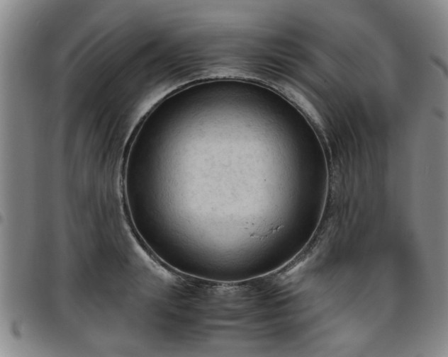 X0000096440847200801311427