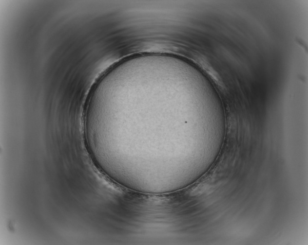 X0000096440848200801311427