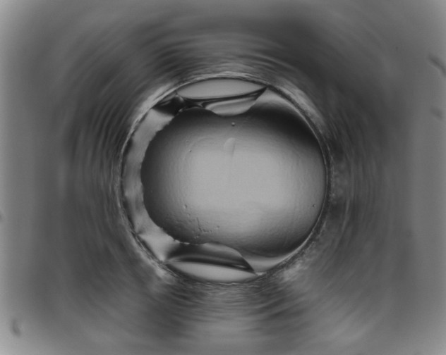 X0000096440850200801311427