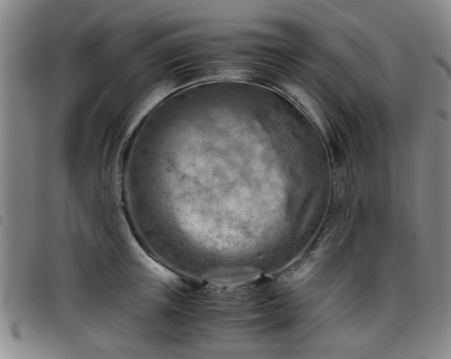 X0000096440851200801311427