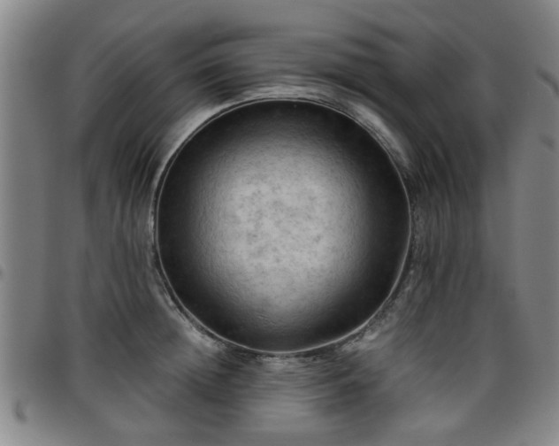 X0000096440852200801311427