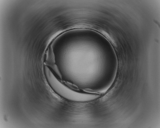 X0000096440854200801311427