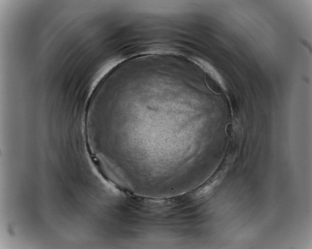 X0000096440855200801311427