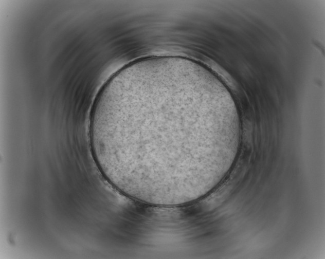 X0000096440856200801311427