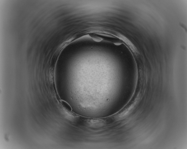 X0000096440857200801311427