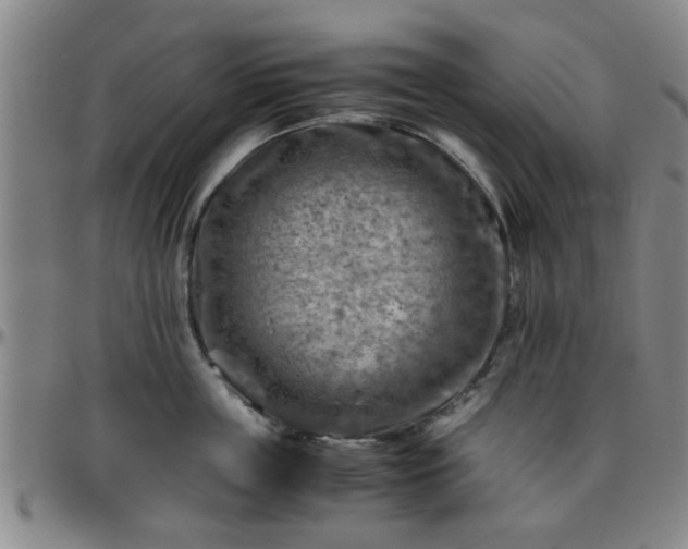 X0000096440859200801311427