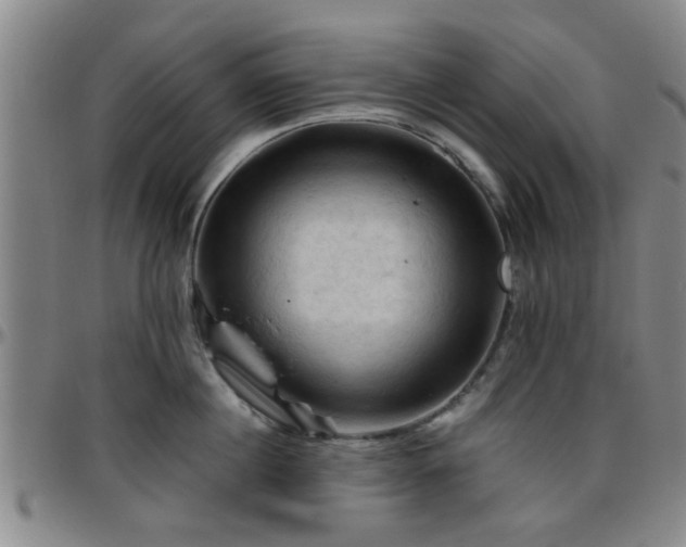 X0000096440860200801311427