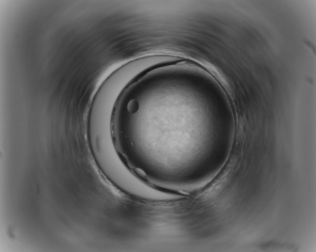 X0000096440862200801311427