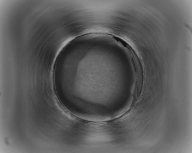 X0000096440864200801311427