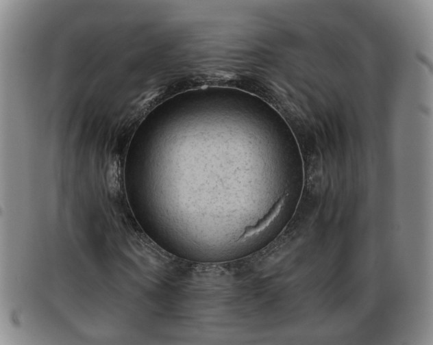 X0000096440866200801311427