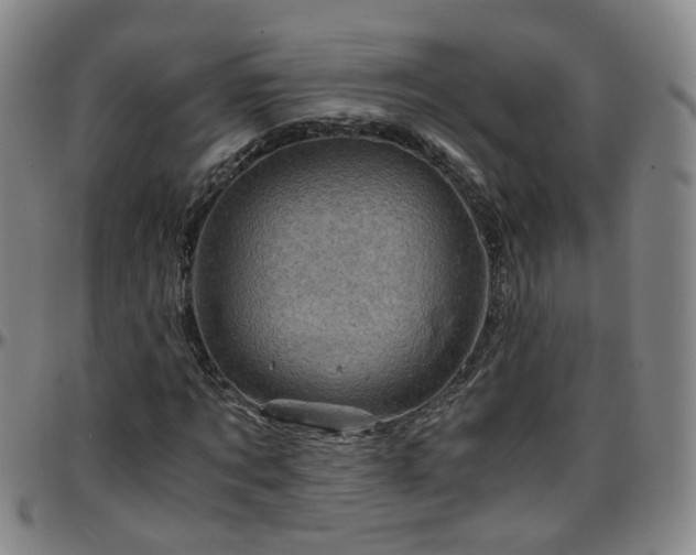 X0000096440869200801311427