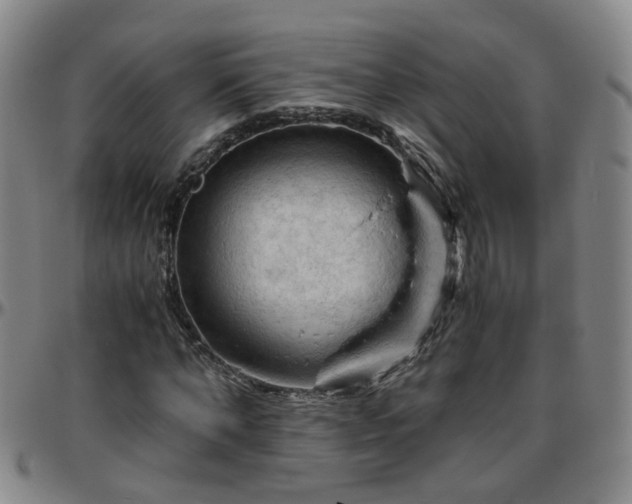 X0000096440870200801311426