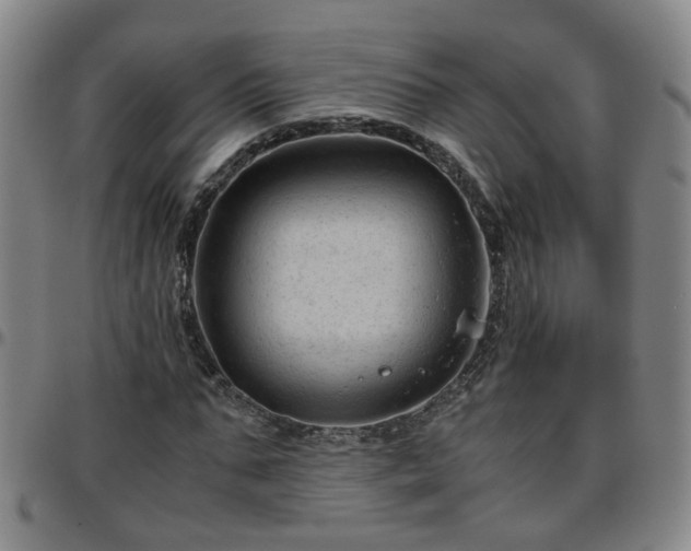 X0000096440871200801311426