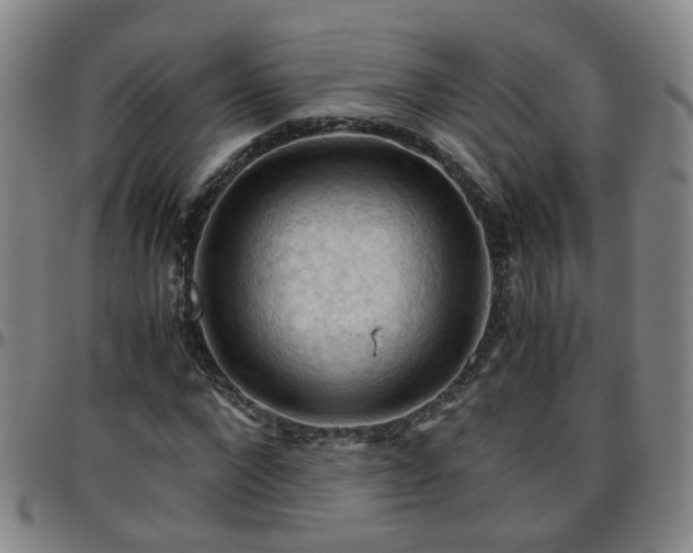 X0000096440872200801311426