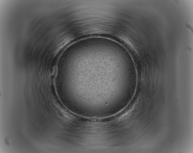 X0000096440873200801311426