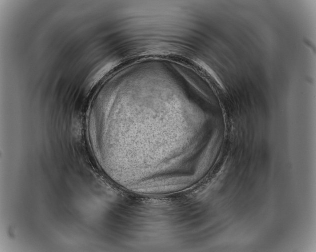 X0000096440874200801311426