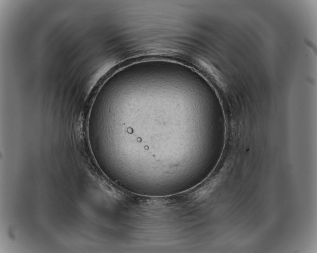 X0000096440875200801311426