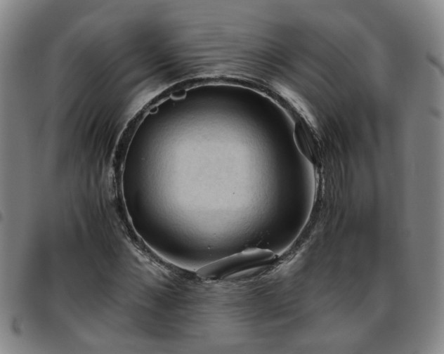 X0000096440876200801311426