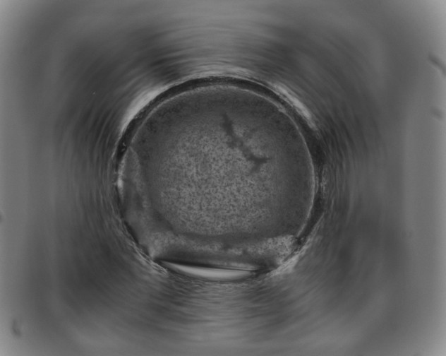 X0000096440877200801311426