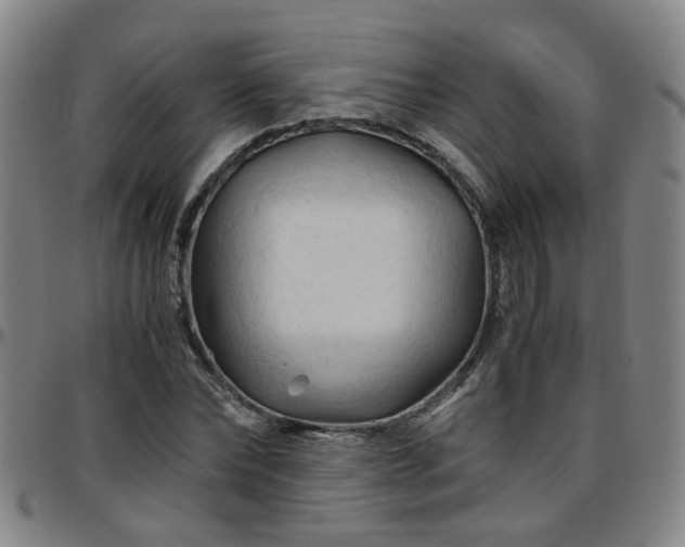 X0000096440878200801311426