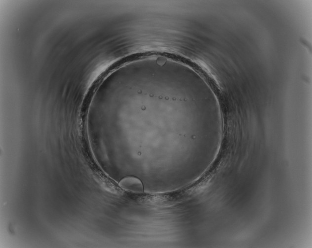 X0000096440879200801311426