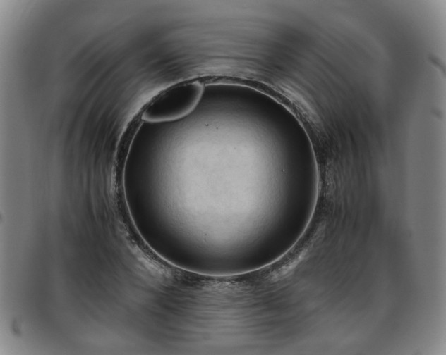 X0000096440880200801311426