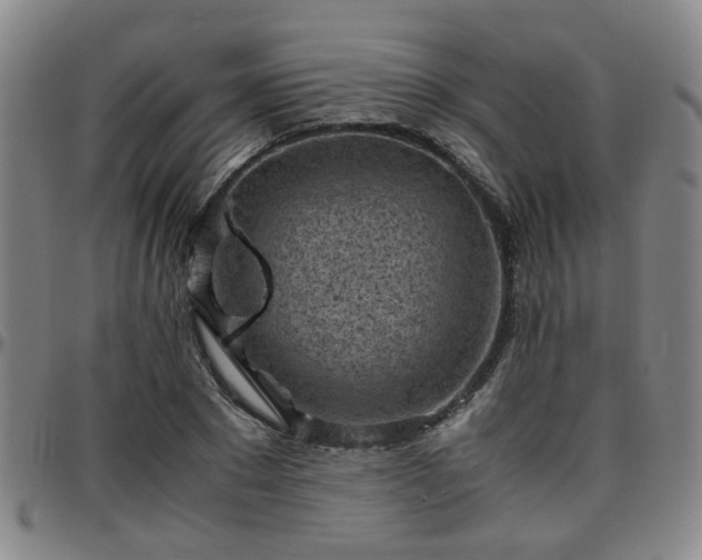 X0000096440881200801311426